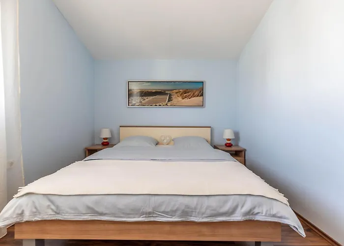 Marinko, No 4 * Ζαντάρ